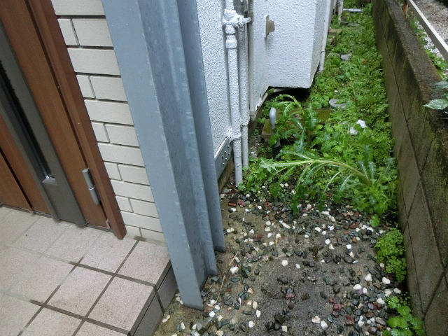 建物北東側・補強工事